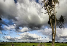 沙特泰达红钻登顶，亚冠征程再跃进一步！的简单介绍